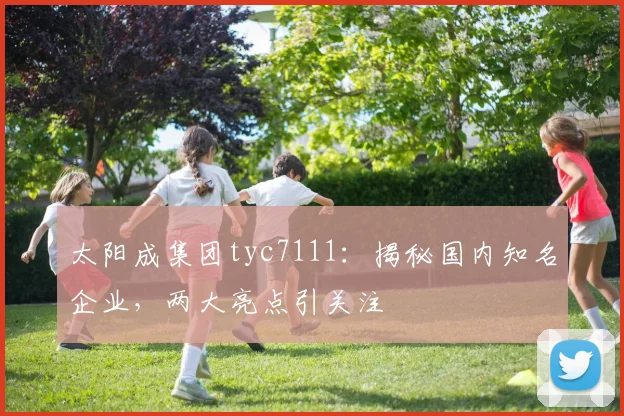 太阳成集团tyc7111：揭秘国内知名企业，两大亮点引关注